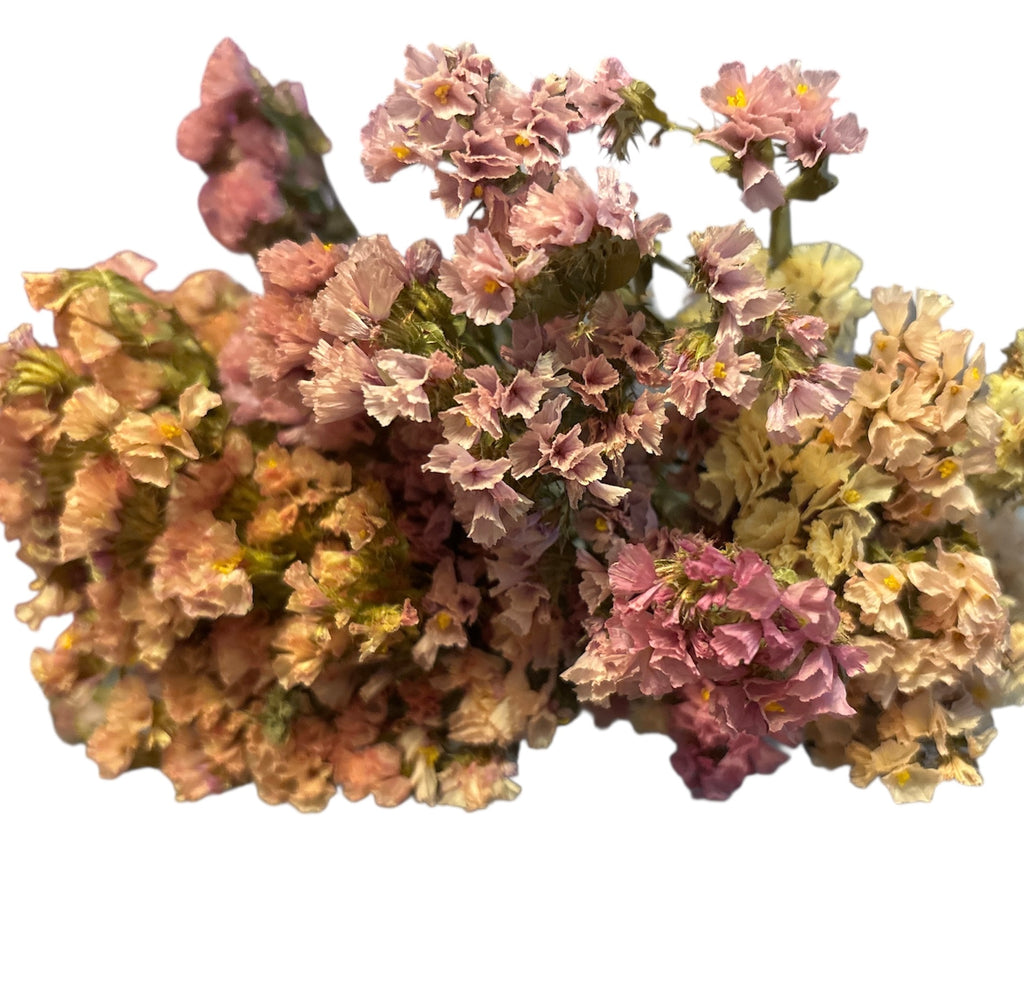 Salmon Statice Flowers