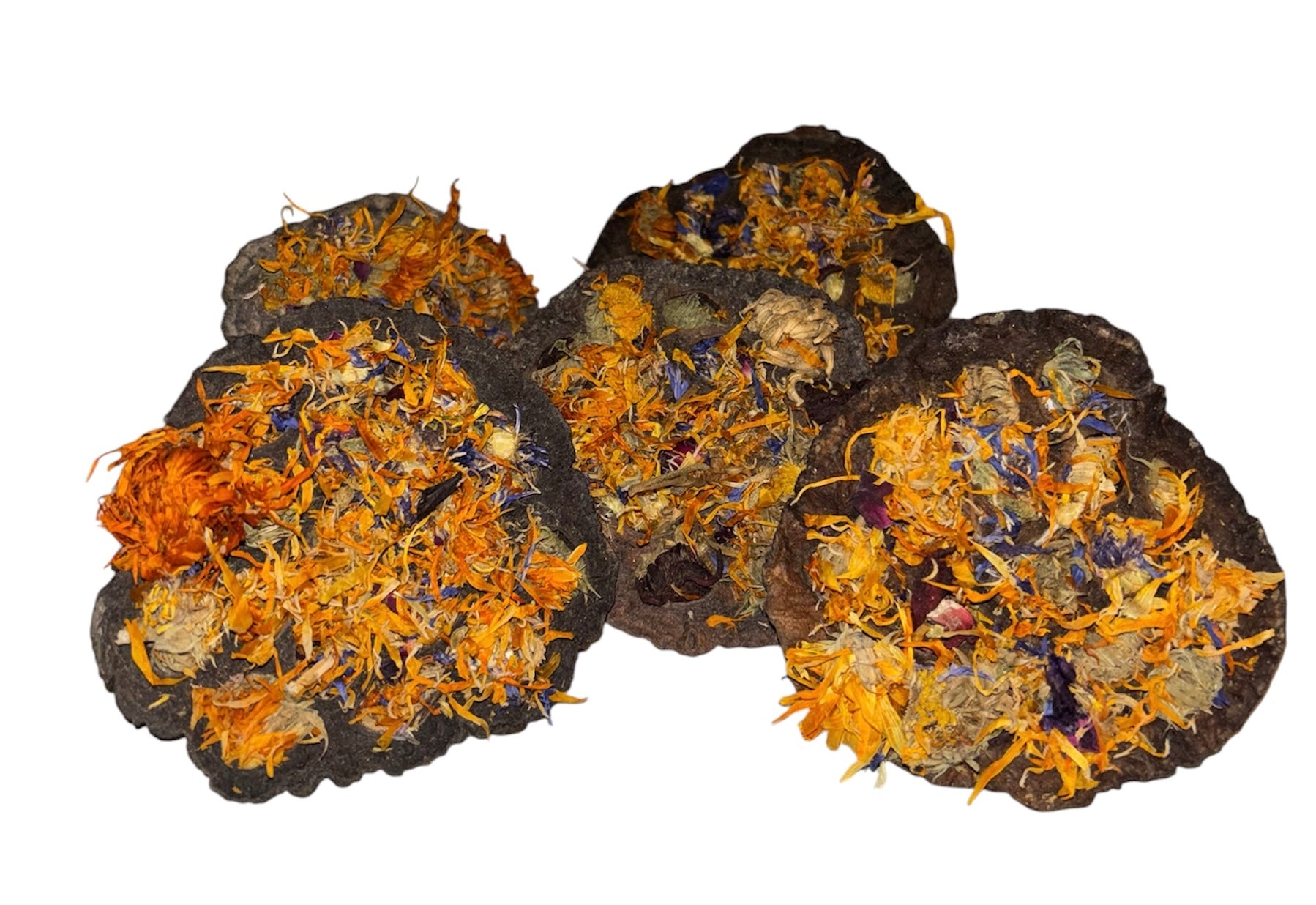 Stuffed Lotus Head (various options)
