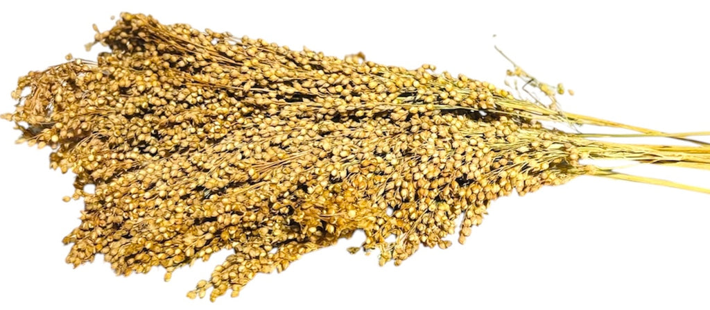 Panicle Millet- Silver