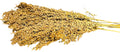 Panicle Millet- Silver