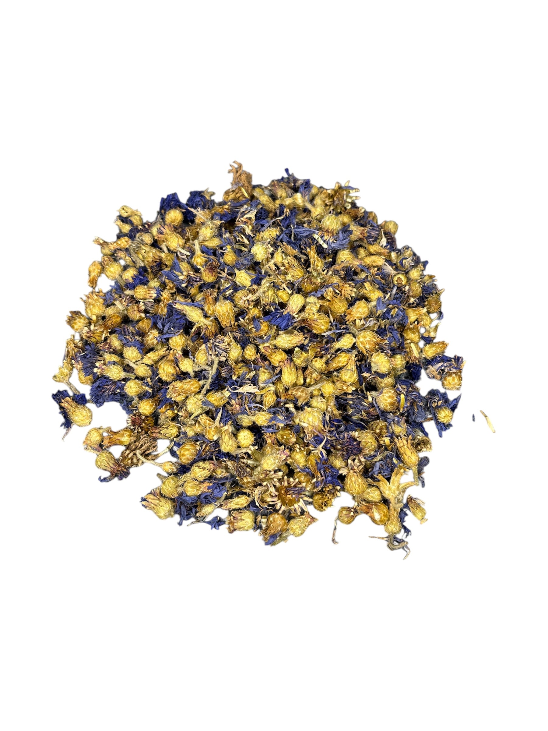 Blue Cornflower Forage