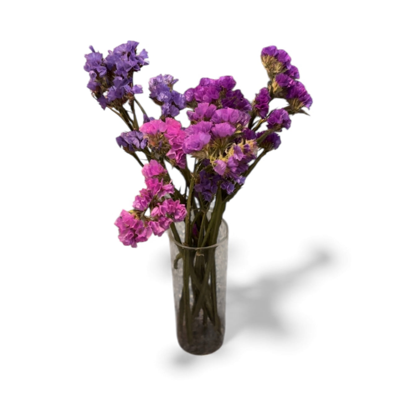 Purple Statice Flowers