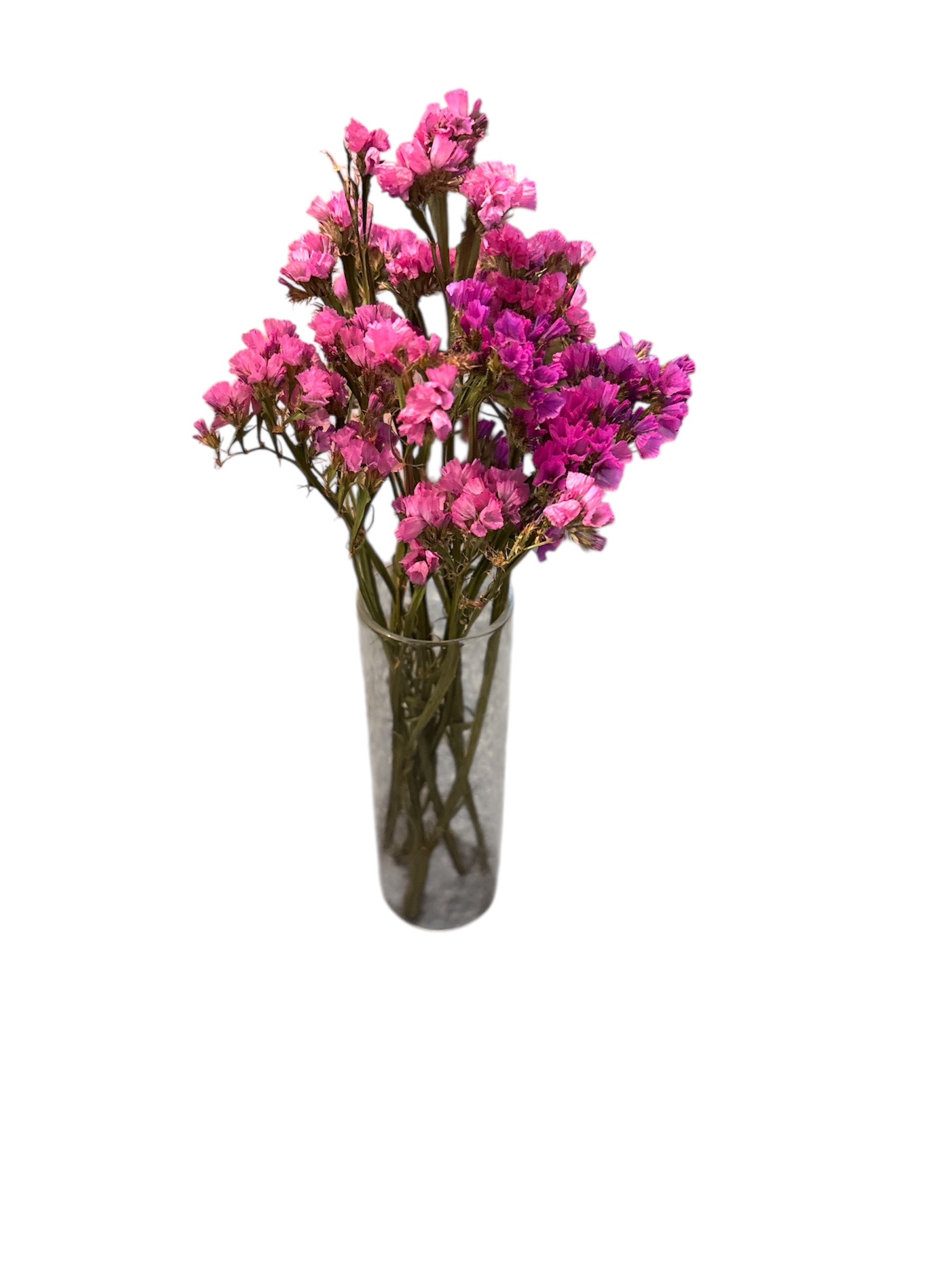 Pink Statice Flowers