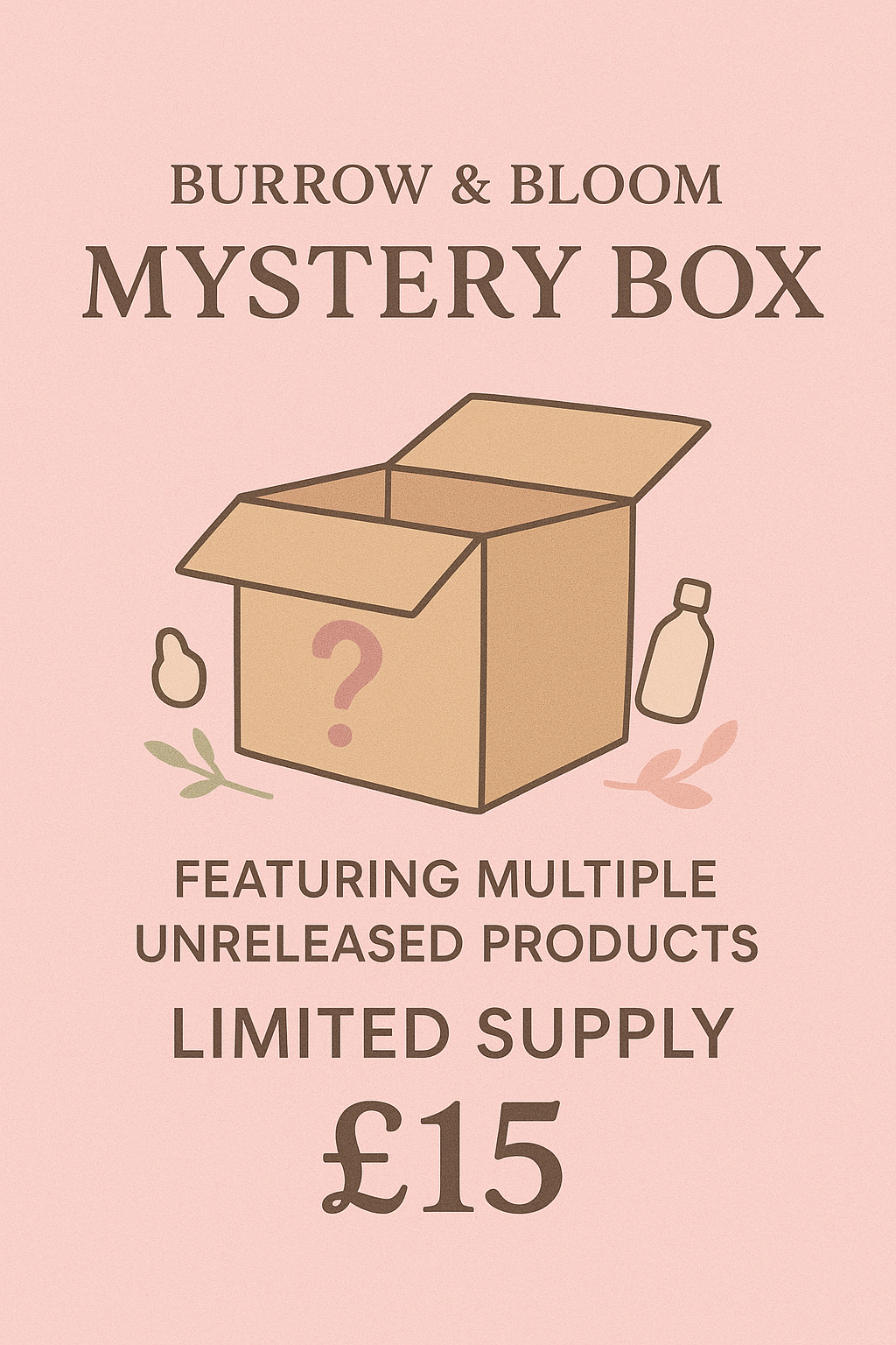 Limited Edition Mystery Box