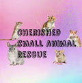 Donation Box - Cherished Small Animal Rescue