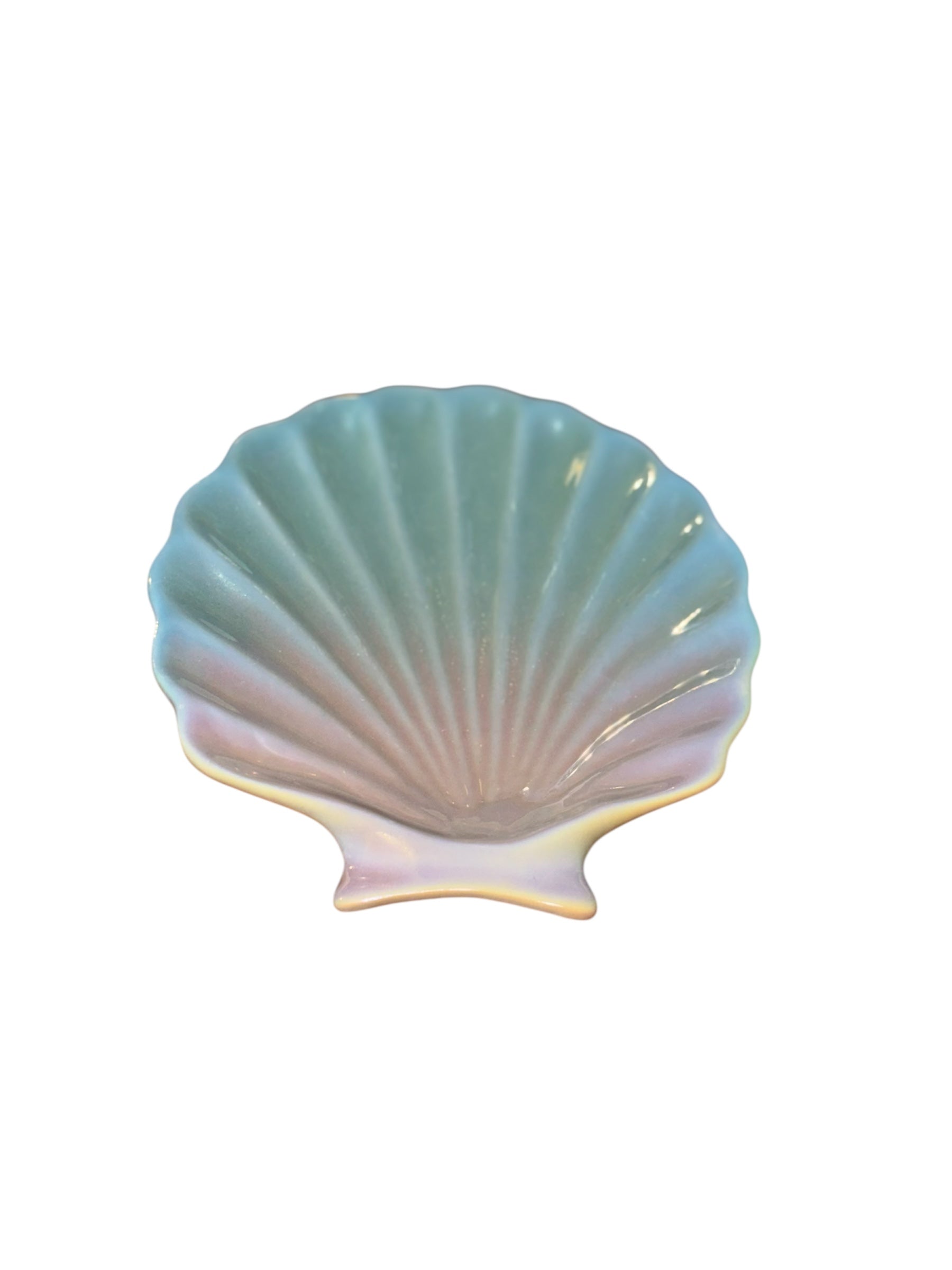 Iridescent Sea Shell Food Dish