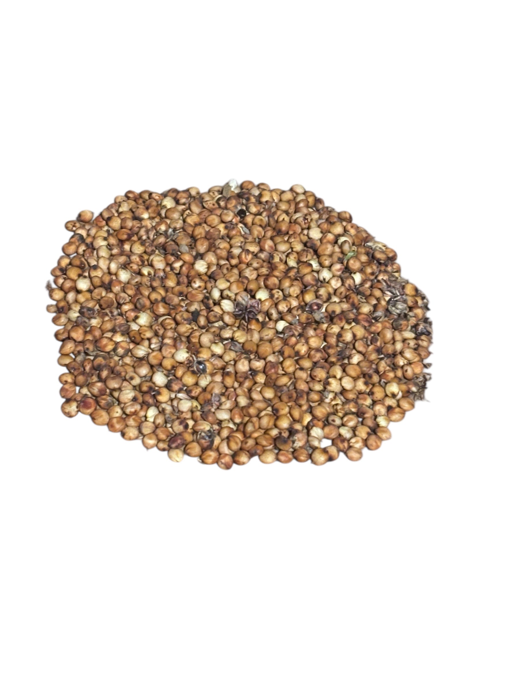 Sorghum Sprinkles | Black & White