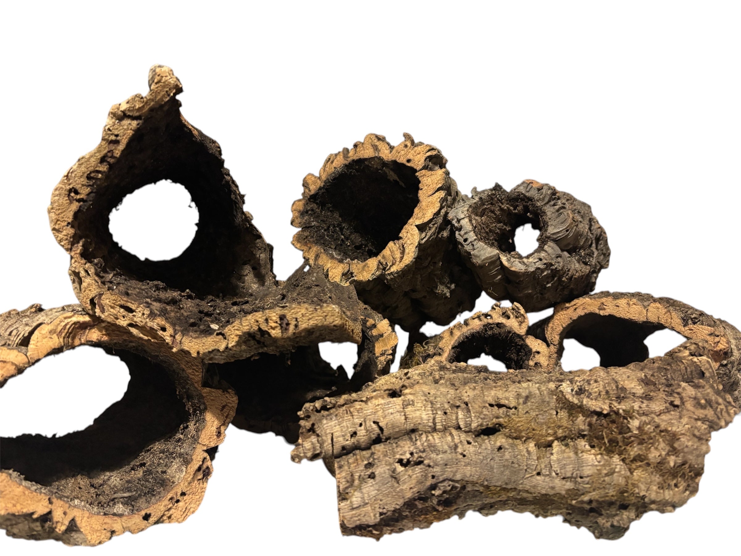 Cork Logs