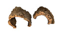 Cork Hides