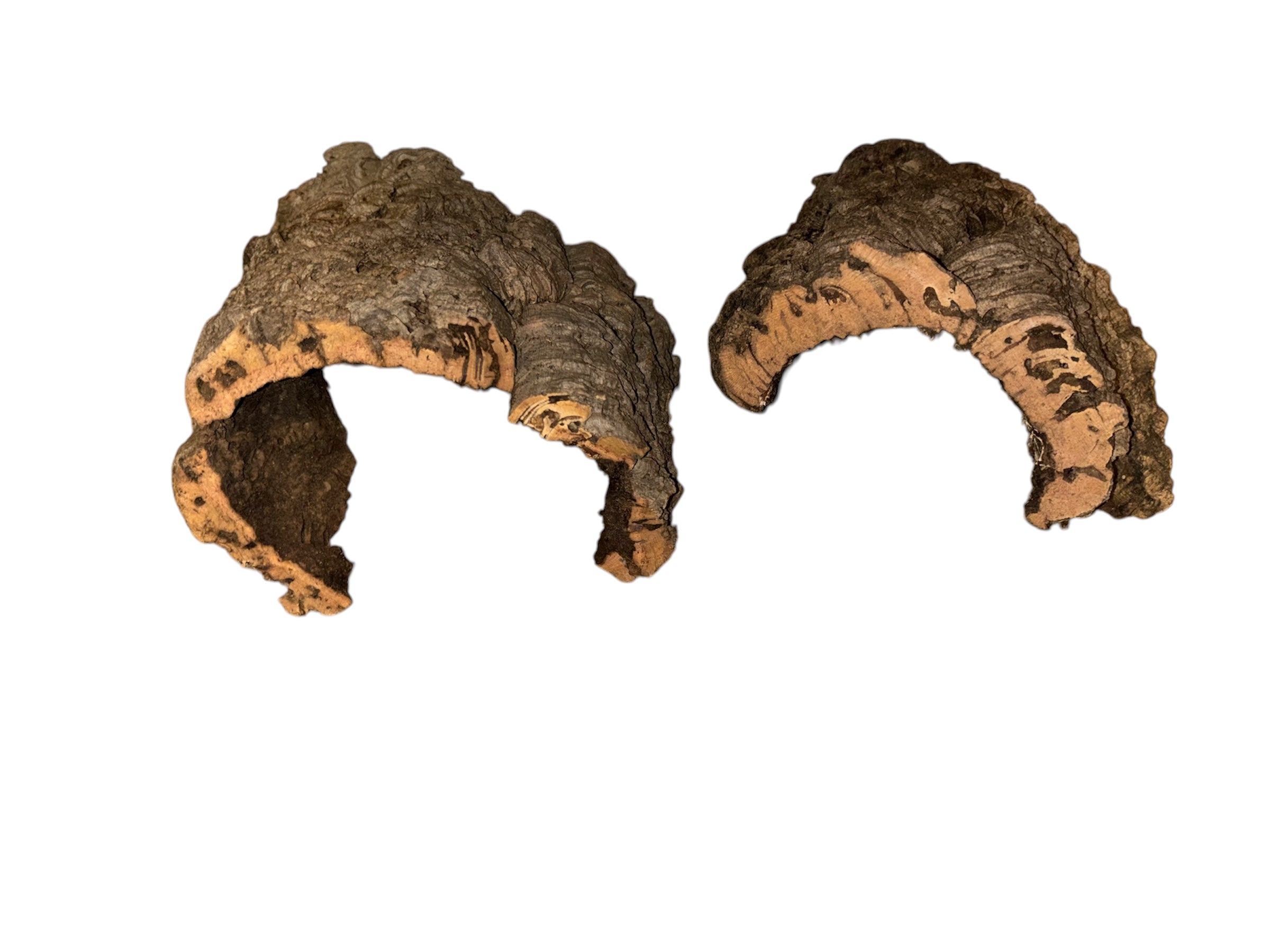 Cork Hides