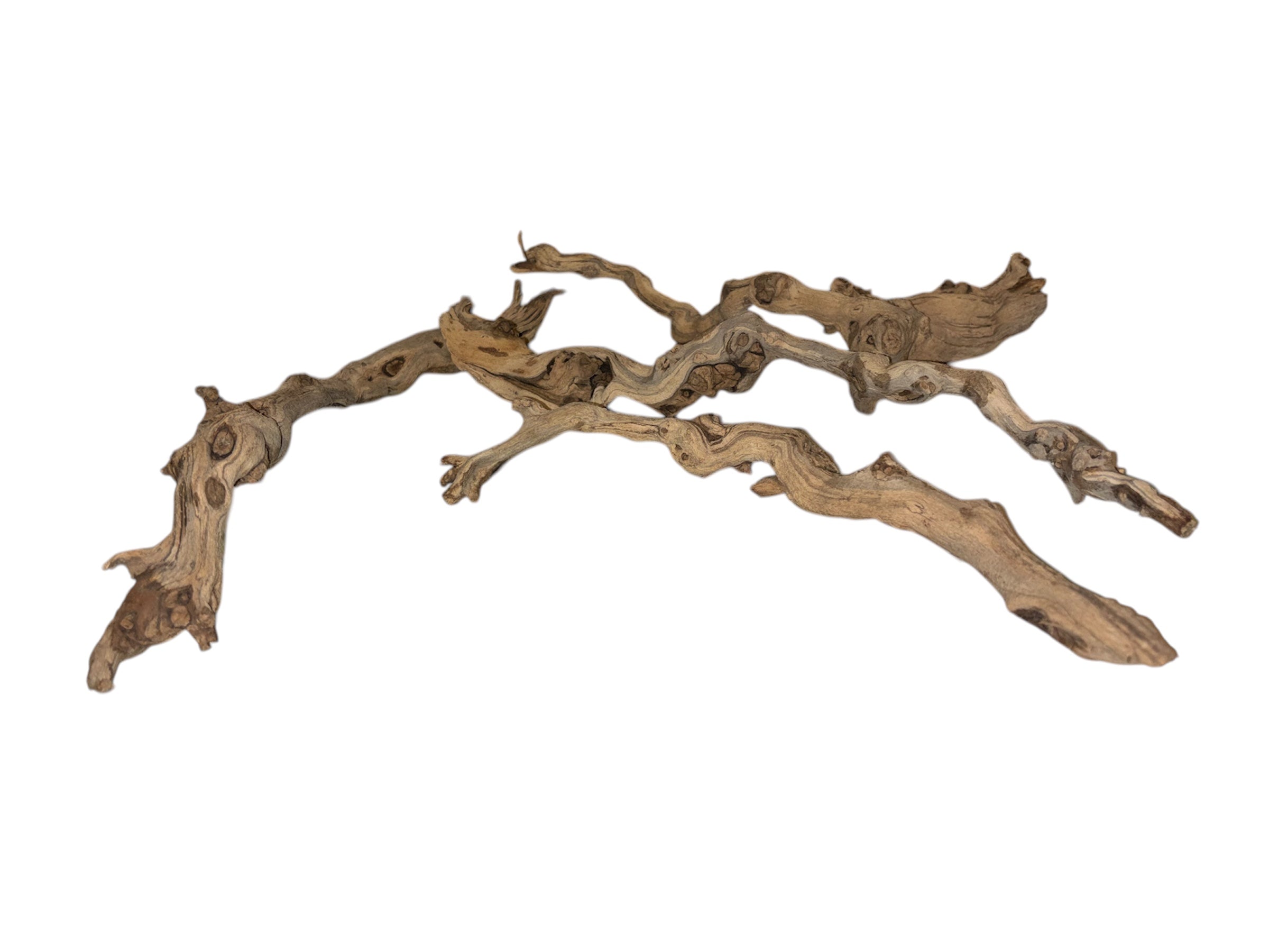 Sandblasted Grapevine Branches