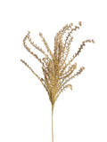 Reed Grass