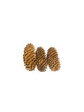 Spruce Cone