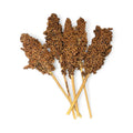 White Sorghum